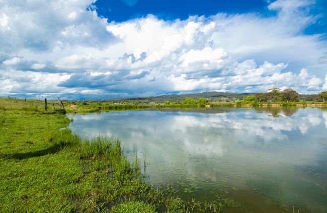 Large rural dam built by Rural Property Services NSW, surrounded by green pasture and used for farm water storage through expert rural dam construction. Large rural dam built by Rural Property Services NSW, surrounded by green pasture and used for farm water storage through expert rural dam construction.