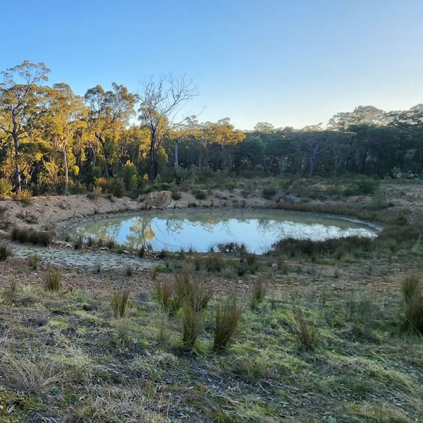 New rural dam built through professional dam construction by Rural Property Services NSW New rural dam built through professional dam construction by Rural Property Services NSW