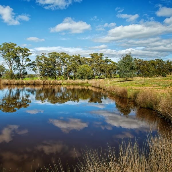 Freshly constructed rural dam surrounded by native grass and trees, part of land improvement works by Rural Property Services NSW