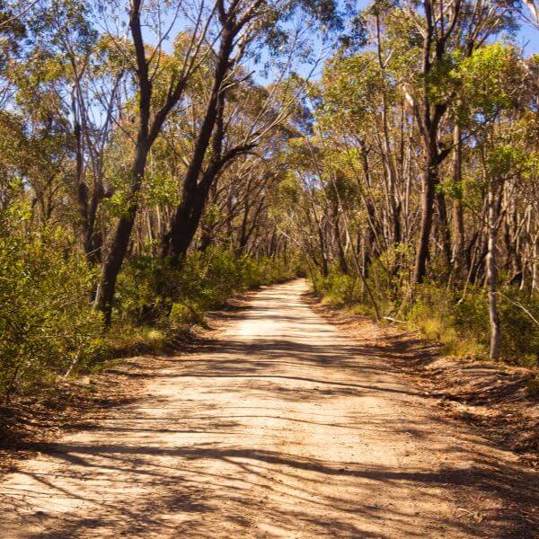Well-cleared fire trail showing recent fire trail maintenance by Rural Property Services NSW for bushfire preparedness and land safety